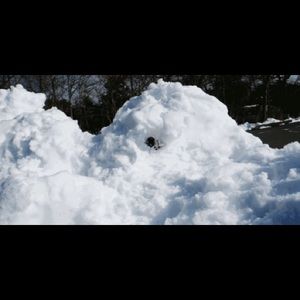 Meet your Posher, Margaret